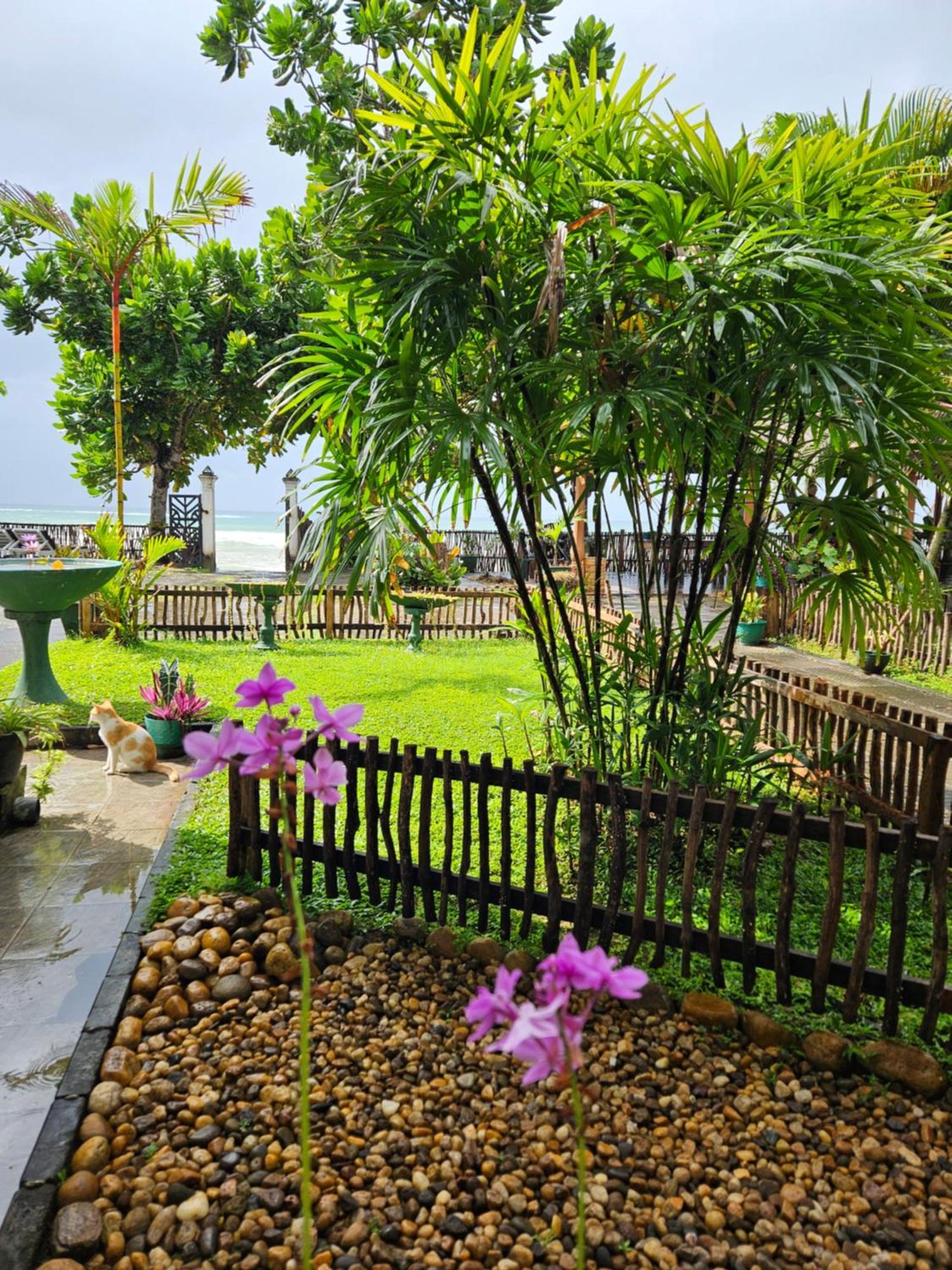 Balance Beach Resort Dickwella Zewnętrze zdjęcie